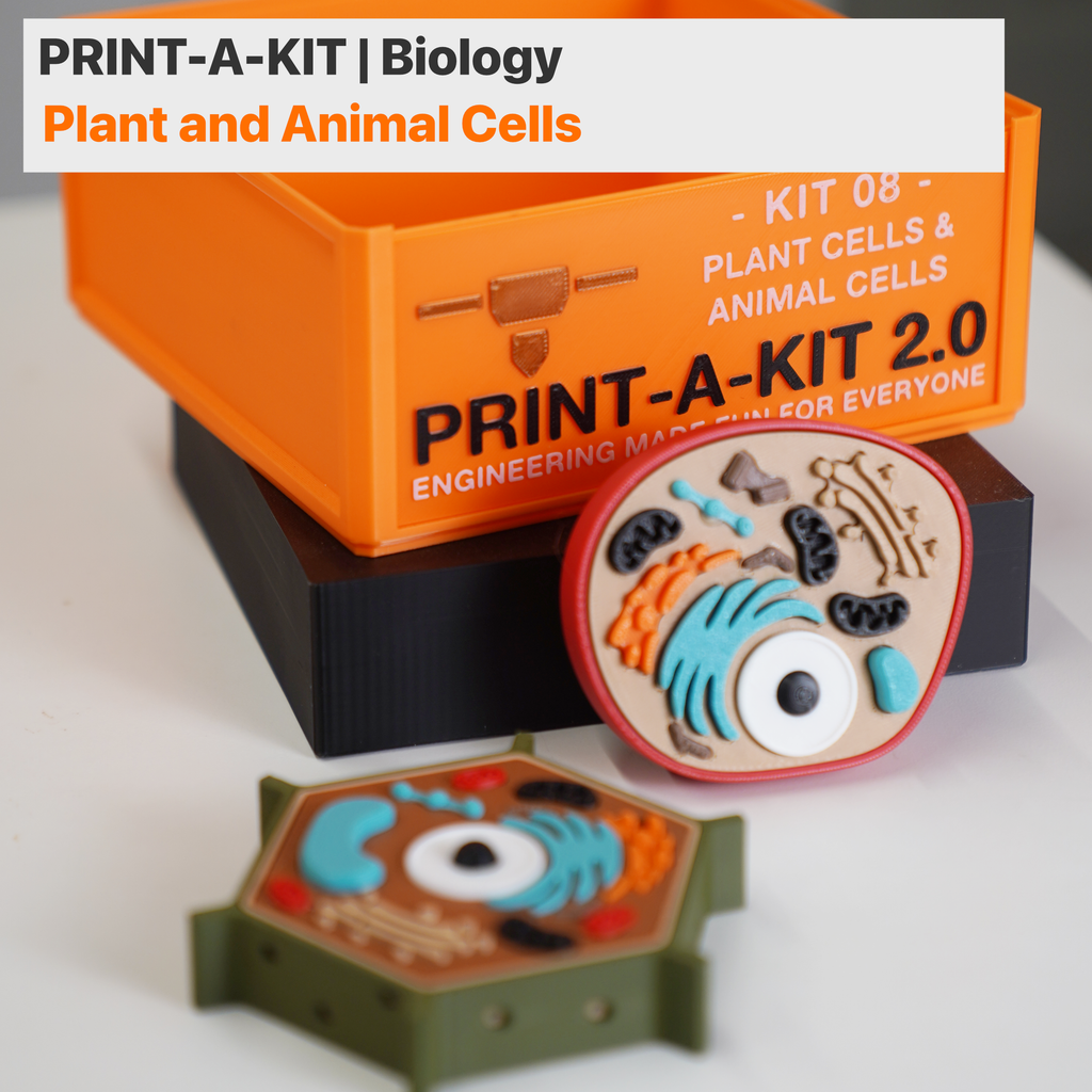 Print-A-Kit | Lifetime Access