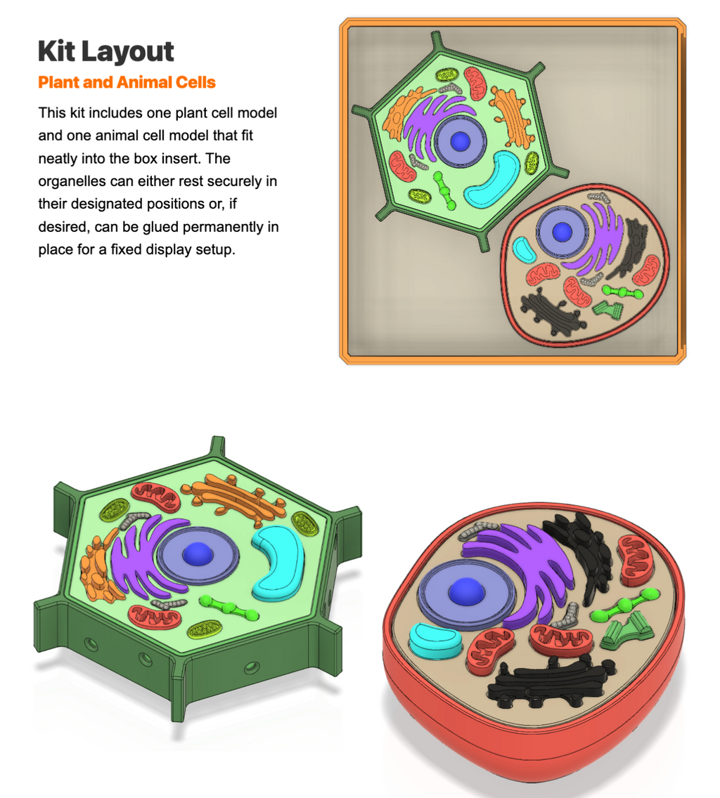 Print-A-Kit | Lifetime Access