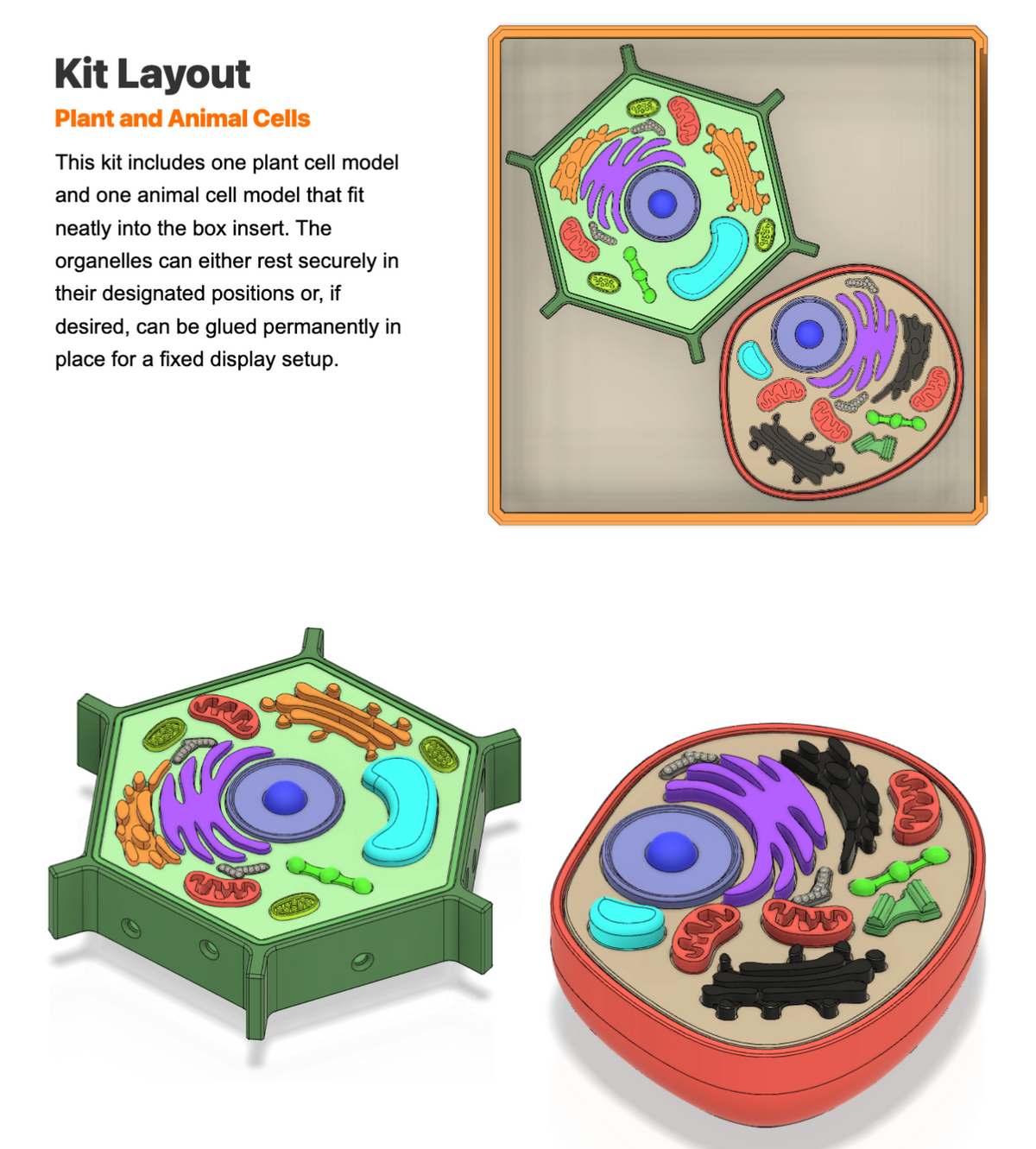 Print-A-Kit | Lifetime Access